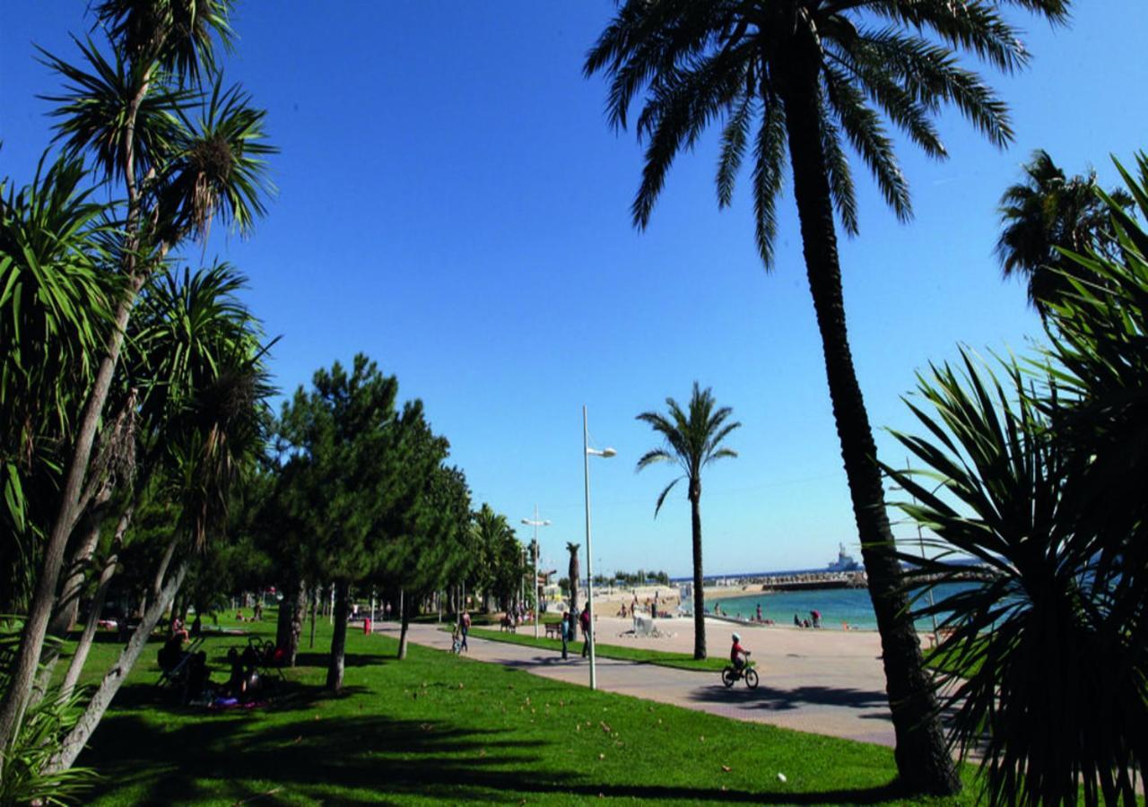 Canopee - Toulon Mourillon - 800M Des Plages Et Place De Parking Prive מראה חיצוני תמונה